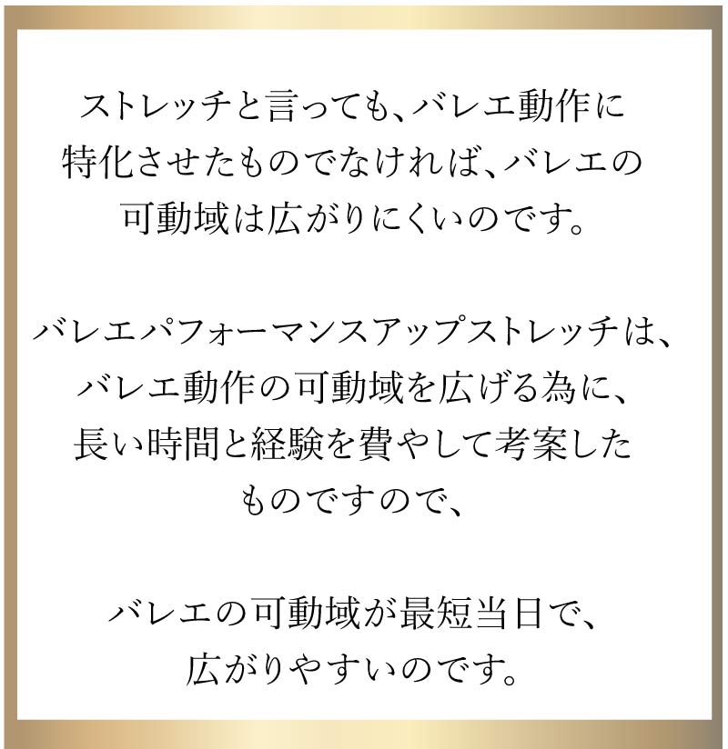 �p�t�H�[�}���X�A�b�v�X�g���b�`�g���[�i,�o���G,���i,�o���G�g���[�i�[