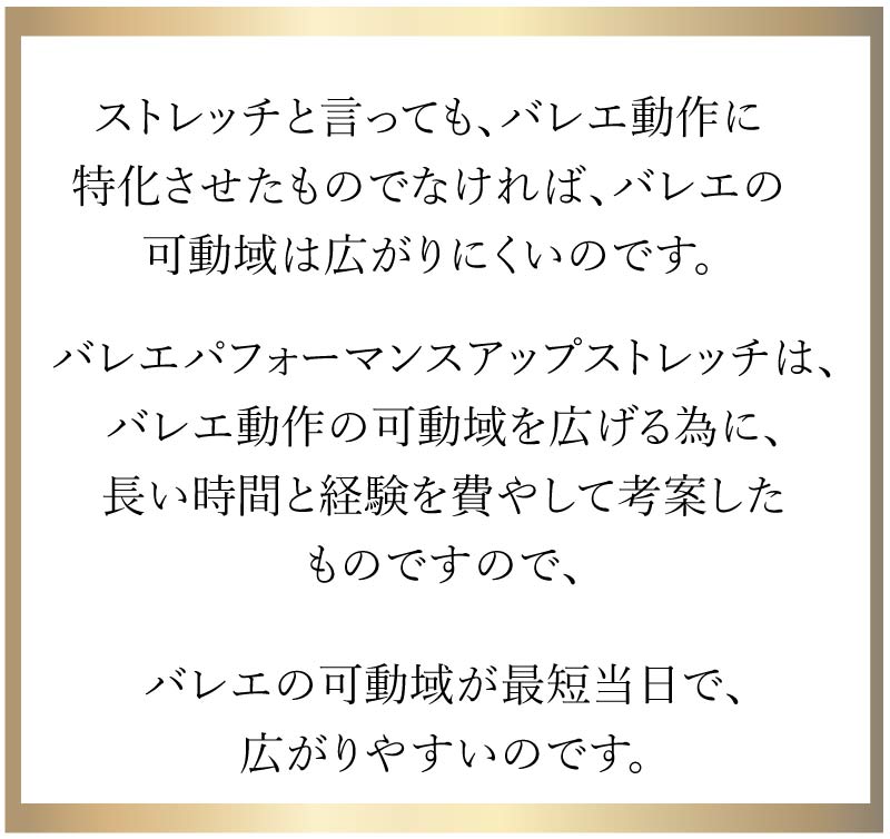 �p�t�H�[�}���X�A�b�v�X�g���b�`�g���[�i,�o���G,���i,�o���G�g���[�i�[