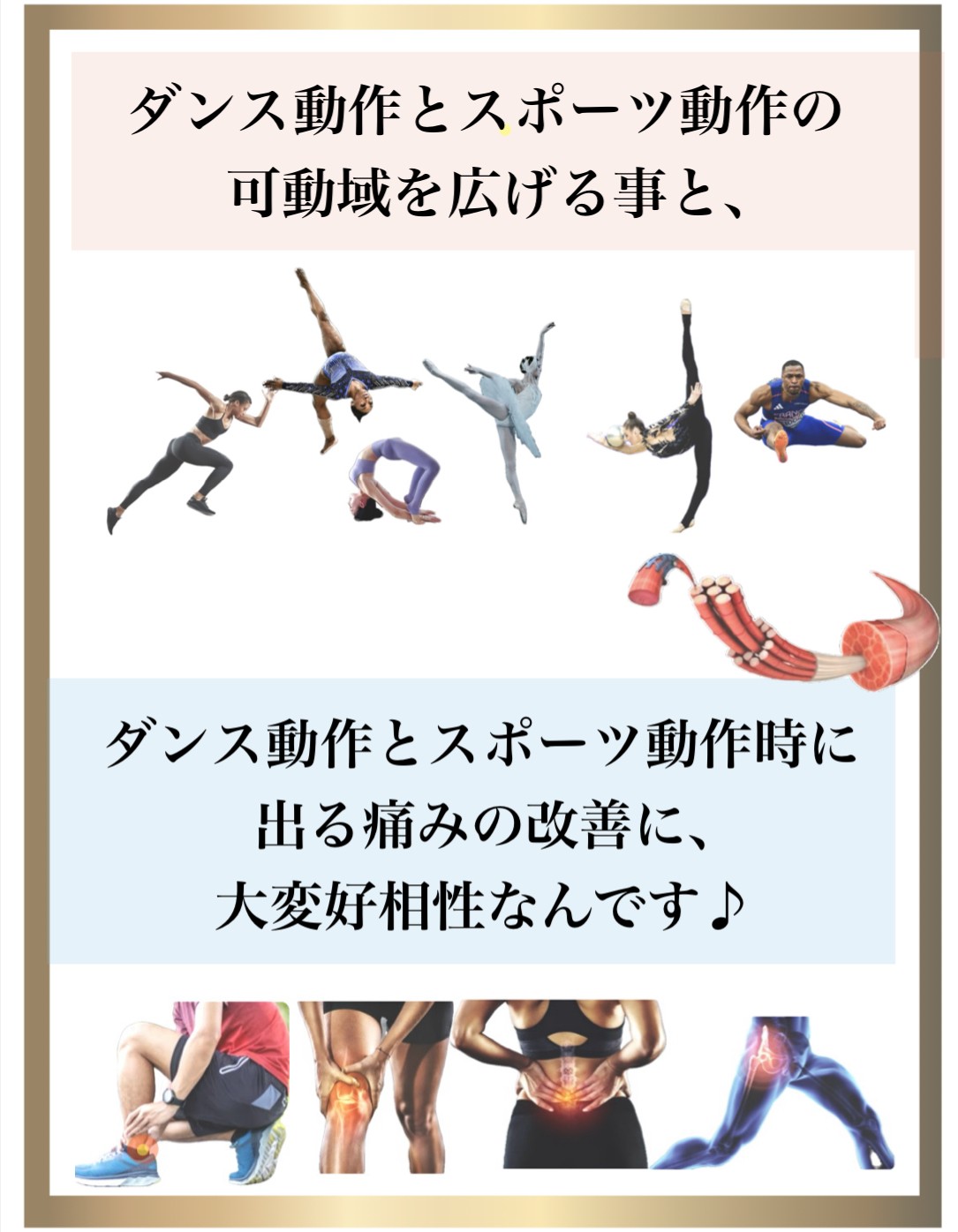 �o���G����,zoom,�X�g���b�`���b�X��,�_�