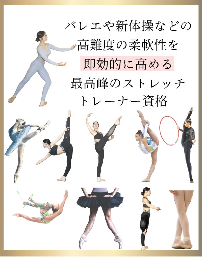 �o���G���i,�o���G,�g���[�i�[,���i