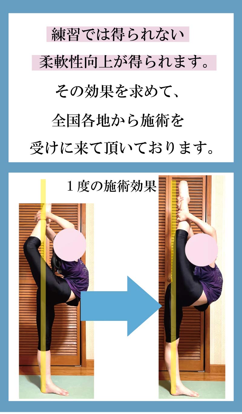 �o���G�p�t�H�[�}���X�A�b�v�X�g���b�`�g���[�i,�o���G,���i,�o���G�g���[�i�[