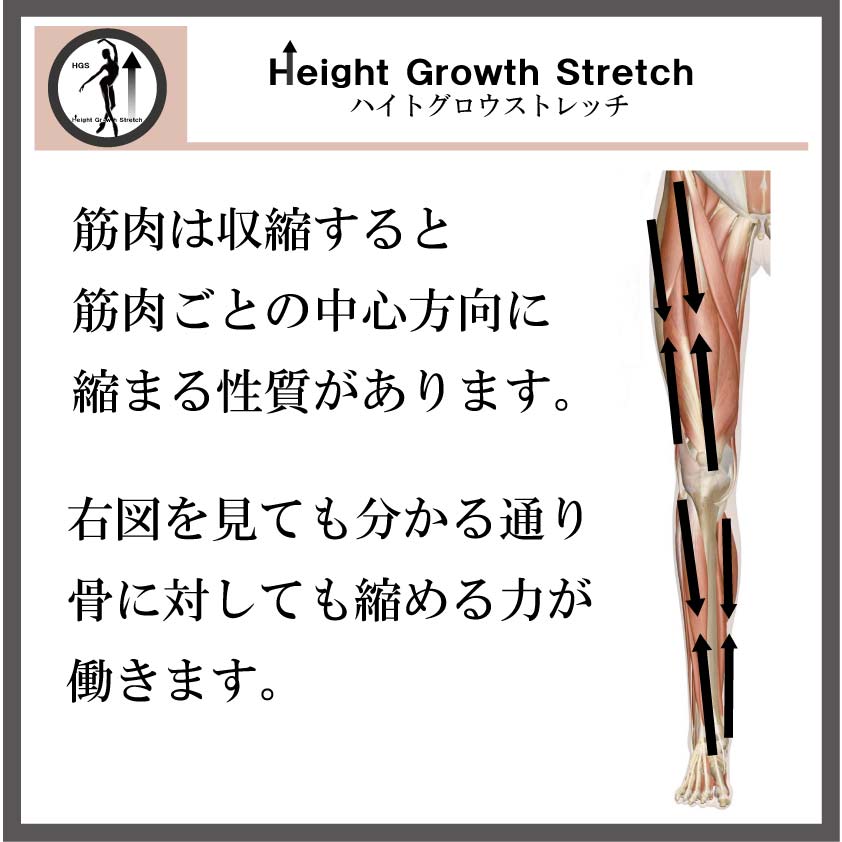 身長を伸ばす方法,バレエ整体,身長の成長を止める,ハイトグロウストレッチ,ストレッチ