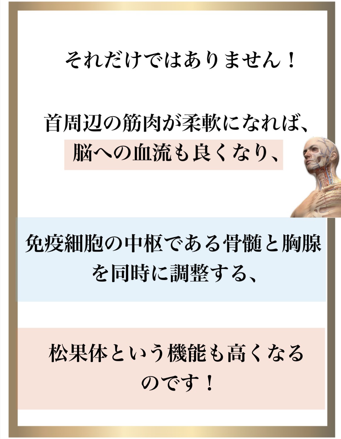 免疫力,整体,DNA修復,視床下部,内皮細胞核