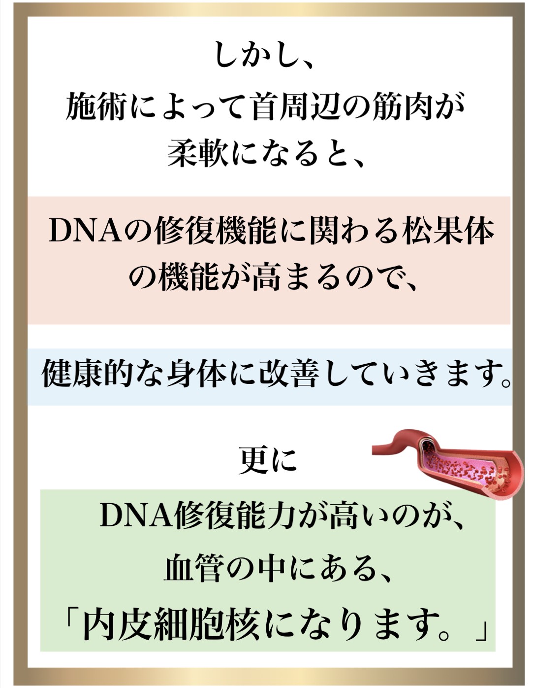 免疫力,整体,DNA修復,視床下部,内皮細胞核