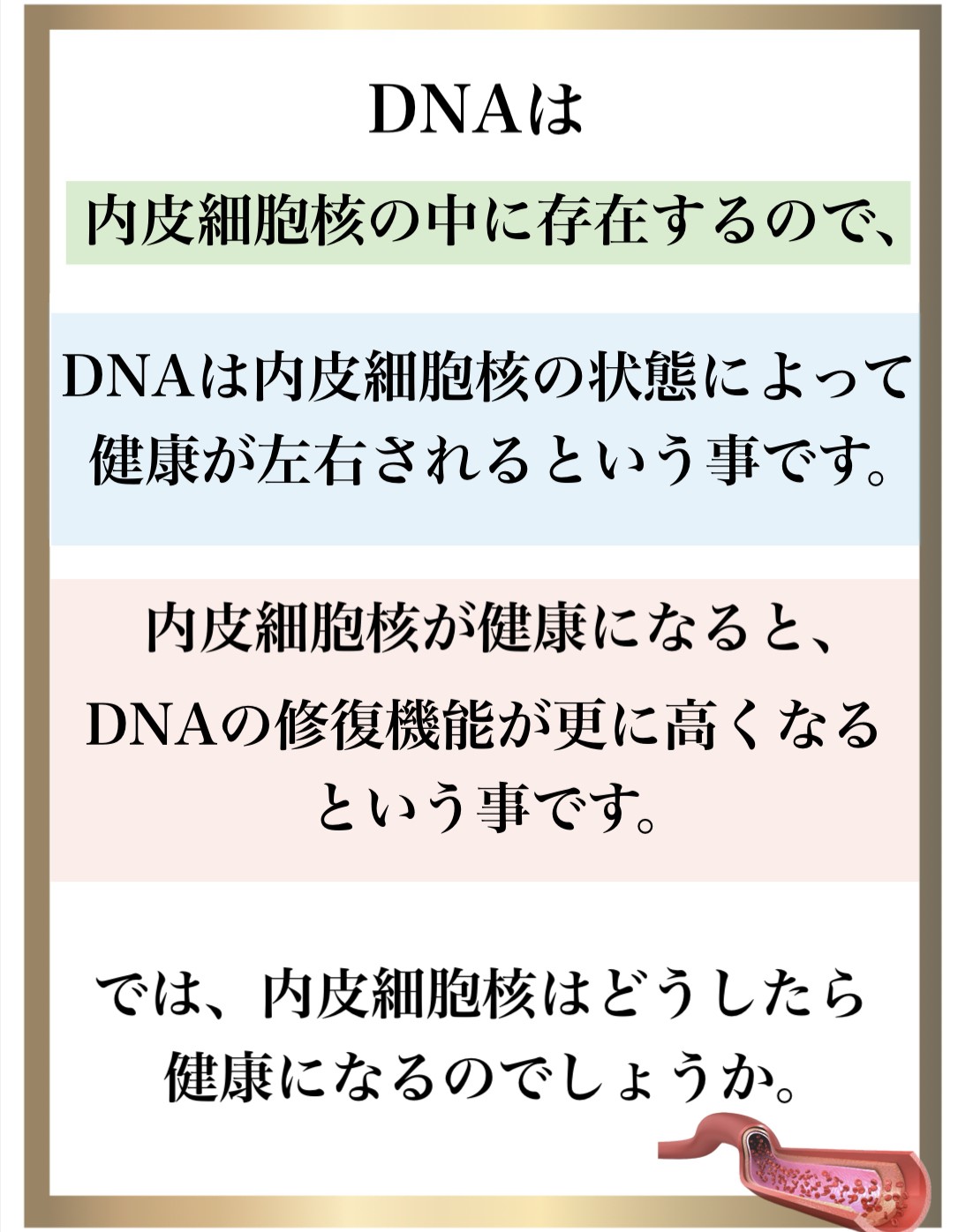 免疫力,整体,DNA修復,視床下部,内皮細胞核