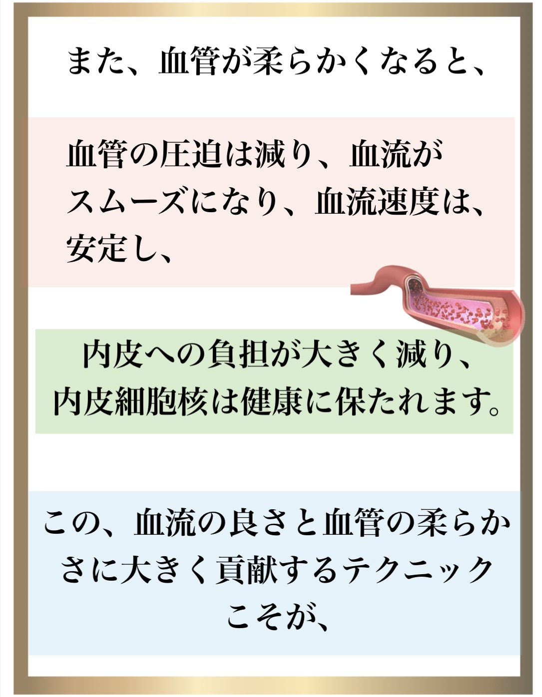 免疫力,整体,DNA修復,視床下部,内皮細胞核