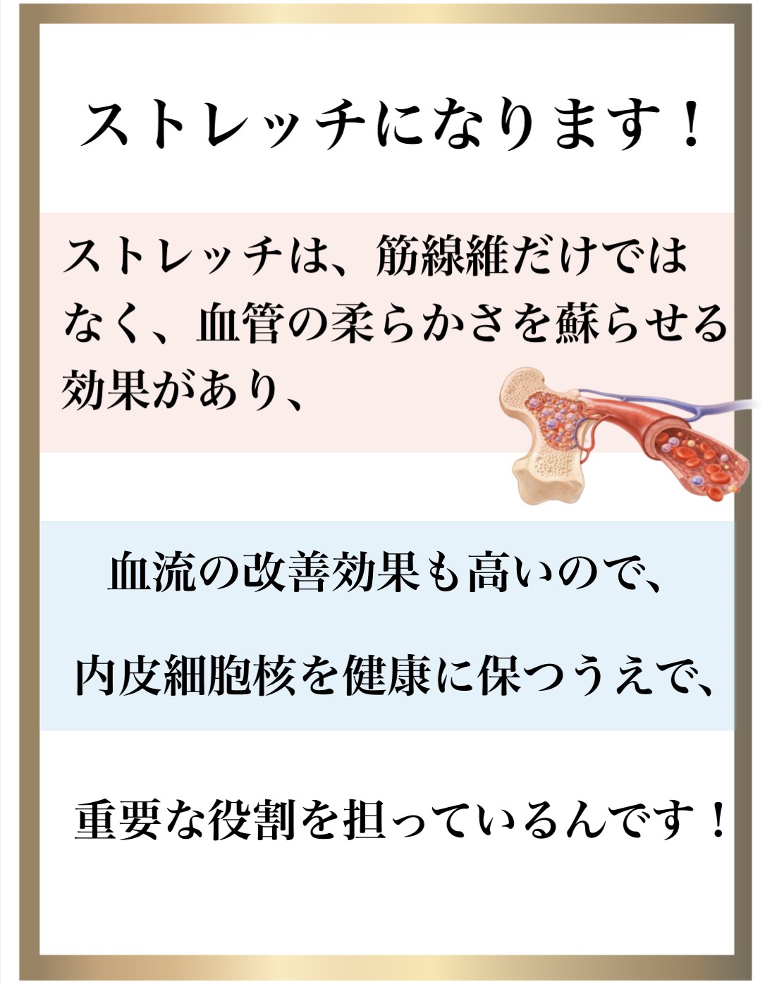 免疫力,整体,DNA修復,視床下部,内皮細胞核