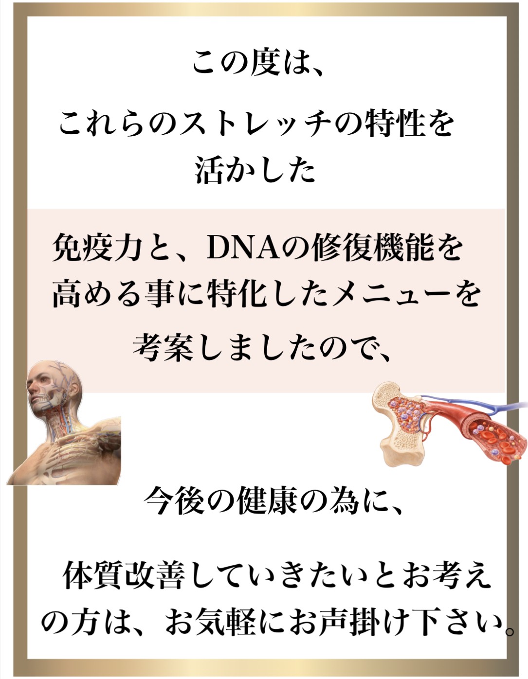 免疫力,整体,DNA修復,視床下部,内皮細胞核