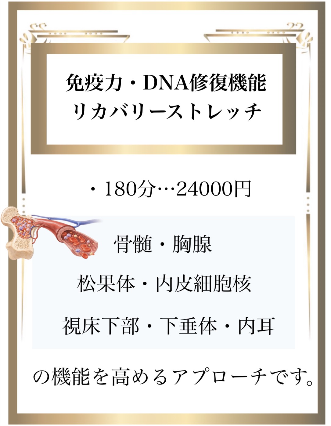 免疫力,整体,DNA修復,視床下部,内皮細胞核