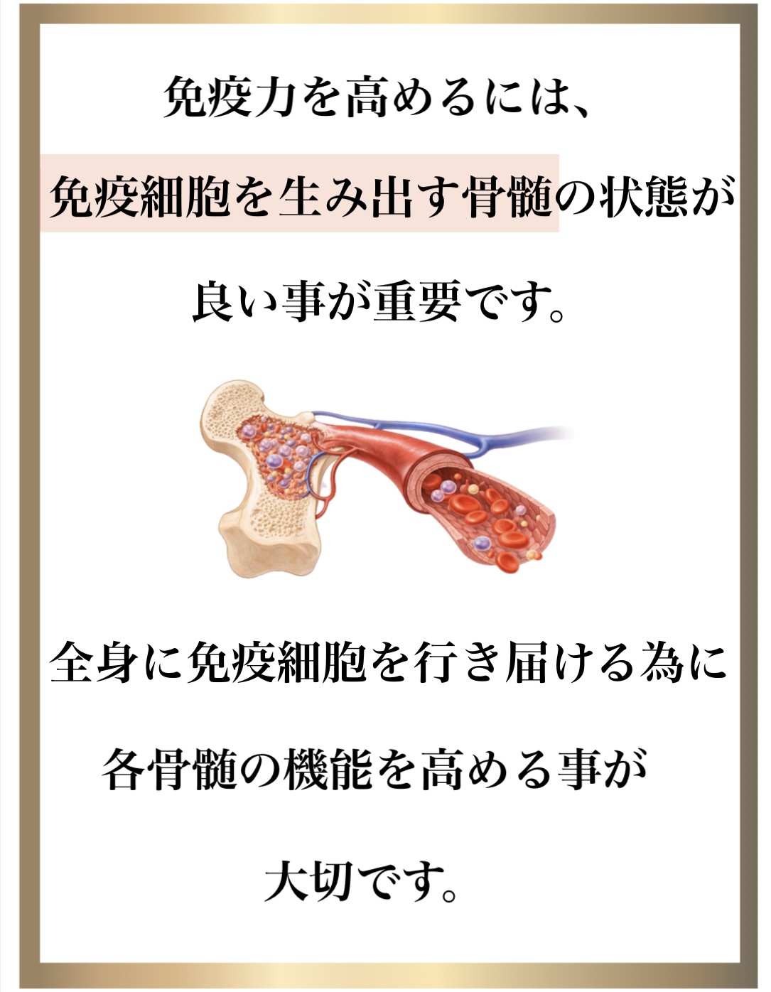 免疫力,整体,DNA修復,視床下部,内皮細胞核