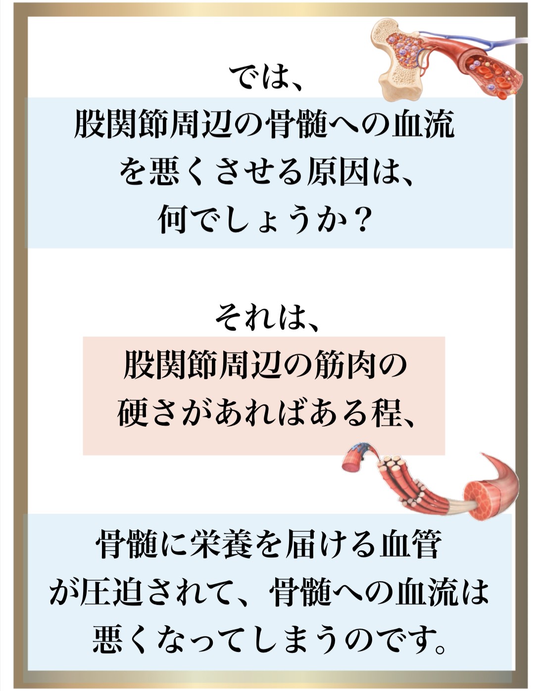 免疫力,整体,DNA修復,視床下部,内皮細胞核