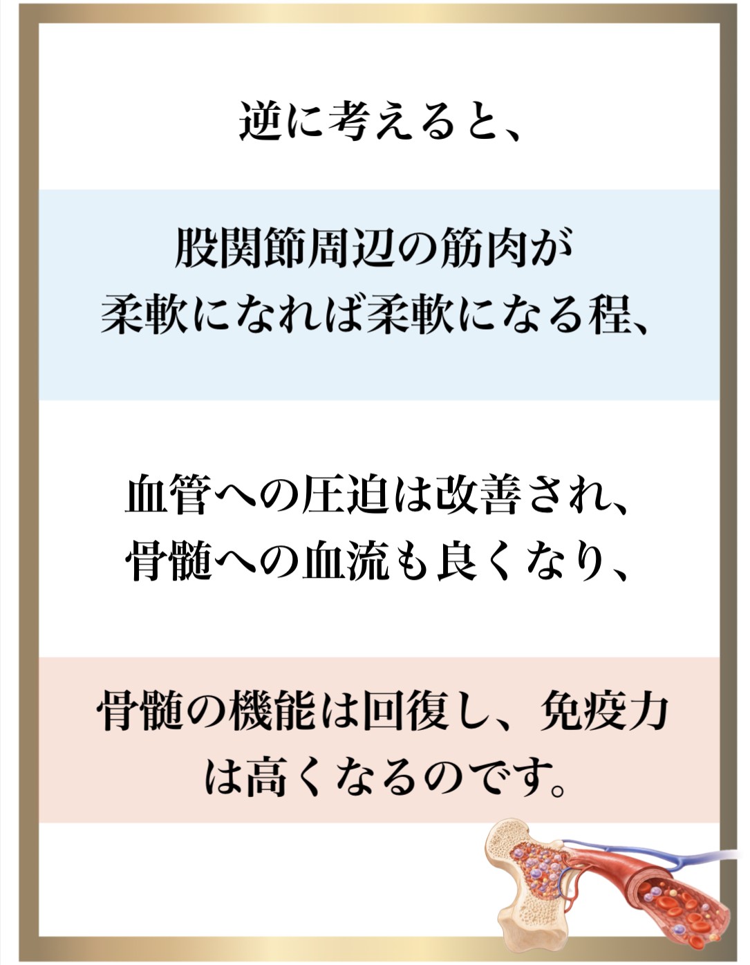 免疫力,整体,DNA修復,視床下部,内皮細胞核