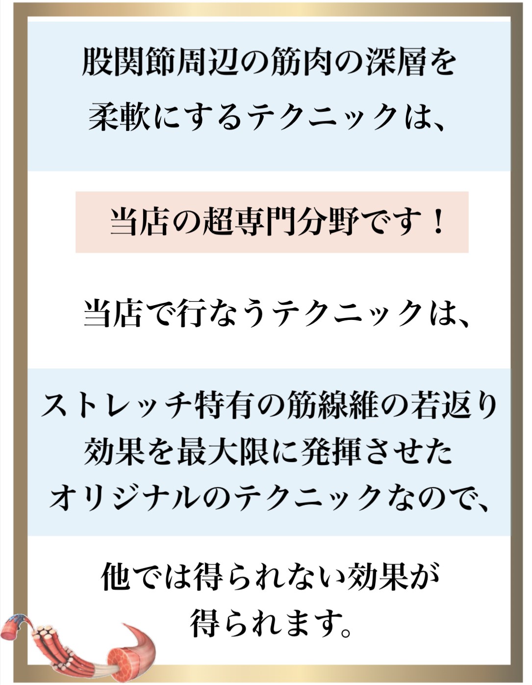 免疫力,整体,DNA修復,視床下部,内皮細胞核