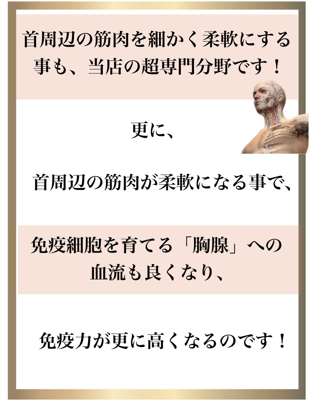 免疫力,整体,DNA修復,視床下部,内皮細胞核