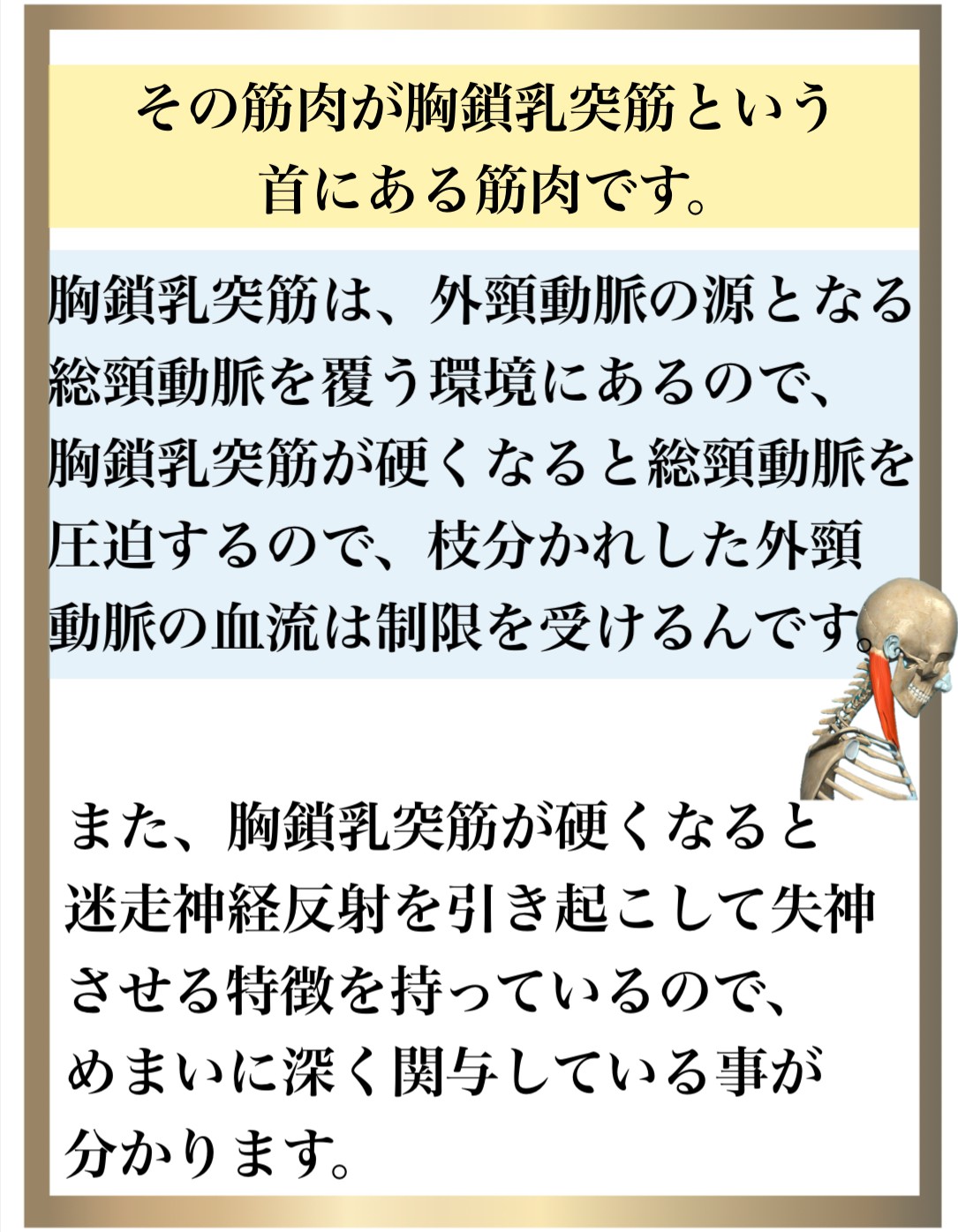 メニエール病,めまい,整体,大阪,ストレッチ