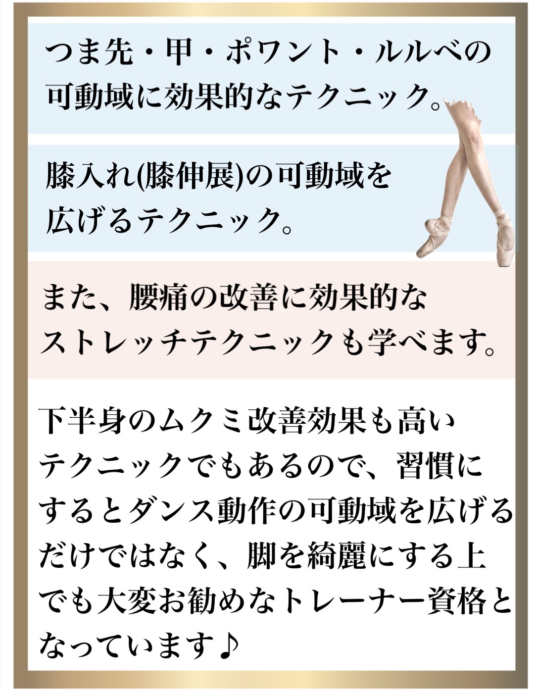 �o���G����,�_�,�g���[�i�[���i,one-on-one�t���L�V�r���e�B�X�g���b�`